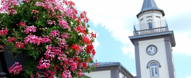 How do hanging flower pots work?