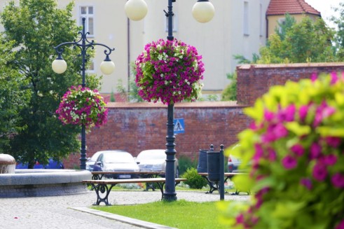 Legnica